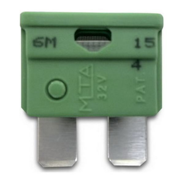 ChasNewensMarine, Blade Fuse 30 Amp Green - F809