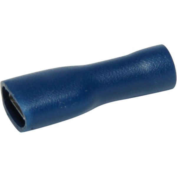 ASAP Electrical, Blue Fully Insulated Female Spade Terminal (6.3mm x 0.8mm / 50 Pack)  713197